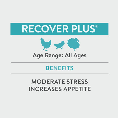 Recover Plus Moderate Stress Probiotic Water Supplement for Chickens with Electrolytes & Oregano, 8 oz...