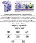 Sugar-Free Electrolyte Replenishment - Grape Burst, High-Potency, Instant Hydration, Portable Single-Serve Packs for Gym & Outdoor Activity...
