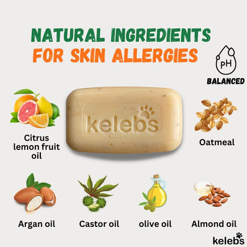 Deodorizing Dog Shampoo for Smelly Dogs | Puppy Shampoo | Organic Pet Shampoo for Dogs | Natural Dog Shampoo Bar | Citrus Essential Oils | Eco-Fri...