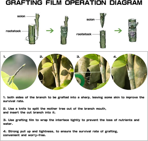 2Pcs Grafting Tape for Fruit Trees,Nursery Sealing PVC Stretchable Garden Parafilm Tape Plants Repair Budding Tape for Garden Tree Seedling...