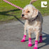 RC Pet Products Sporty PAWks Anti-Slip, Stylish, Functional, Protective Dog Socks | XX-Small, Olive Heather...