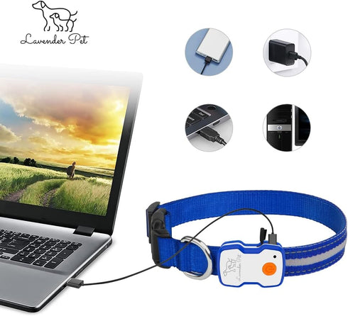 Led Dog Collar 1000 ft Night Visibility LED Dog Leash - Padded Double Traffic Handle |10hr Battery Life, USB-C Quick Charging Light Up Reflective ...