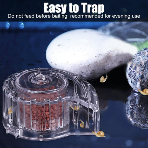 MiOYOOW Planaria Trap, Transparent Planaria Catcher Natural Aquarium Snail Trap for Aquarium Fish Tank Planaria Leech Small Snail...