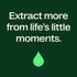 Plant Therapy Sweet Fennel Essential Oil 10 mL (1/3 oz) 100% Pure, Undiluted, Therapeutic Grade...