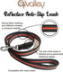 Alvalley Reflective Dog Leash - Durable, Heavy Duty Dog Leash with Nylon Webbing - Dog Training Leash for Small, Medium, Large and Extra Large Dog...