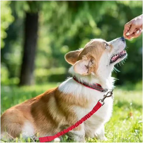 Short Dog Leash Extender, 18 in Bungee Shock Absorbing, Nylon Multifunctional Dog Leash for Medium Large Dogs Walking Training Running (red)...