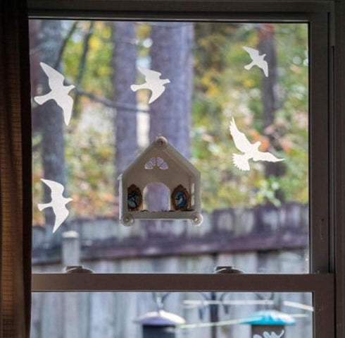 Anti-Collision Window Bird Stickers Decals Glass Door Protect and Save Bird Strikes (Transparent-36 Pcs)...