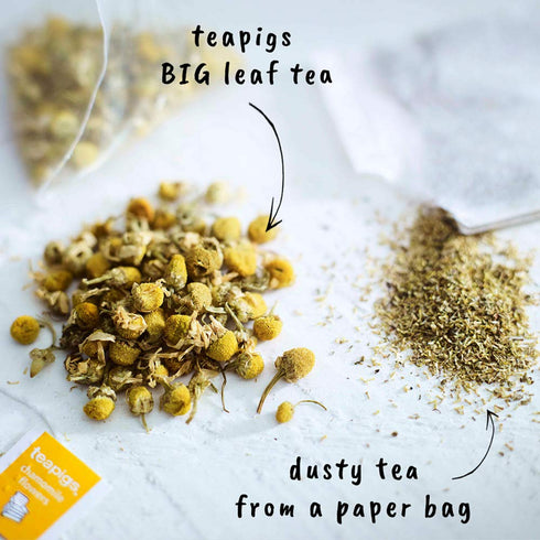 teapigs Chamomile Flowers Made with Whole Flowers (15 Count)...