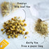 teapigs Chamomile Flowers Made with Whole Flowers (15 Count)...