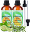 Rosemary Bergamot Essential Oil, Essential Oil Set for Diffuser Home Office Bedroom Bathroom Yoga Room Essential Oils, 100ml 2 Pack...