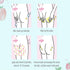 Elitzia Butt Mask 5 Pack Sheet Beauty Skin Kit Firm, Moisturize, Tone and Rejuvenate Bottom 2pcs/Pack ETBS22...