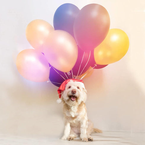 100 pcs 5" Pearl Peach Premium Latex Balloons Great for Kids, Adult Birthdays, Weddings, Receptions, Baby Showers, Water Fights, or Any Celebratio...