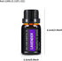 Essential Oils Sets Pure Oils kit- Top 6 Aromatherapy Oils Gift Set-6 Pack, 10ML(Rosemary, Lavender, Lemon Grass, Orange, Peppermint, Tea Tree)...
