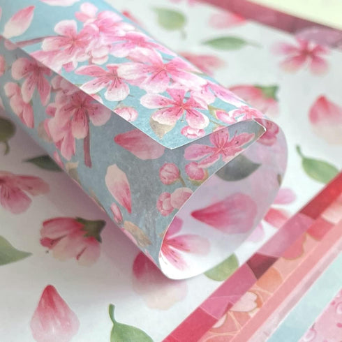 Origami 6x6 Paper Kit 50 Sheets 12 Vivid Colors Double Sided Printed Traditional Patterns Square for Arts Crafts Projects, Japanese Sakuras Flower...