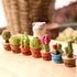 7 in 1 Dollhouse Decoration Plant Pots Miniature Green Potted Miniature Bonsai Model Dollhouse Accessories Decor,1 12 Scale Doll House Miniature P...