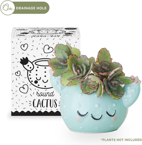 Smiley Cactus Ceramic Planter, 3 x 4 x 4 in., Exclusive Ceramic Planters for Indoor and Outdoors, Cute Hand Painted Designed in Argentina, Conveni...