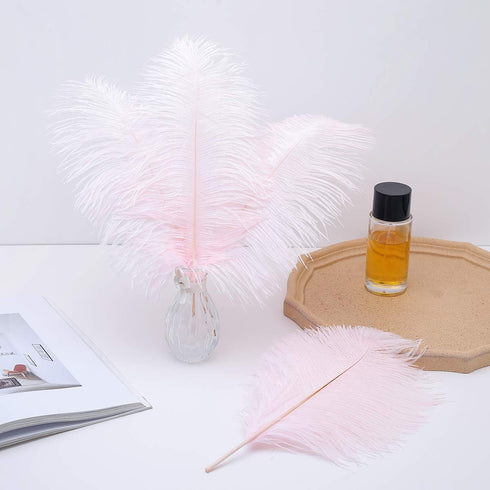 12pcs Natural Light Pink Ostrich Feathers 12-14inch (30-35cm) for Wedding Party Centerpieces?Flower Arrangement and Home Decoration....