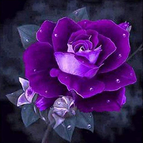 ARAZADR Full Embroidery Starter Kits for Adults Kids Beginners 11CT 3Theads Printed Piture Purple Rose Painting on Canvas Needle Kits Intelligence...