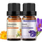 GREENSLEEVES 2 Pack Essential Oil Set, 100% Pure Oils for Diffuser, Humidifier, Massage (Violet+Calendula)...