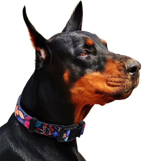 Rhea Rose Dog Collar for Large Dogs Special Design Cute Black Floral Plant Pattern Girl Female Pet Collar (Black, L)...