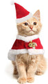 2 Pieces Pet Christmas Clothes Suit, Adjustable Cat Xmas Outfit Accessory, Dog and Cat Clothes for Christmas-Red...