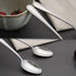Spoons Dinner Spoons Stainless Steel 18/0 of Dessert Spoons 6 Pcs for Home, Kitchen Restaurant, Dishwasher Safe, 7.08 Inches, Silver...