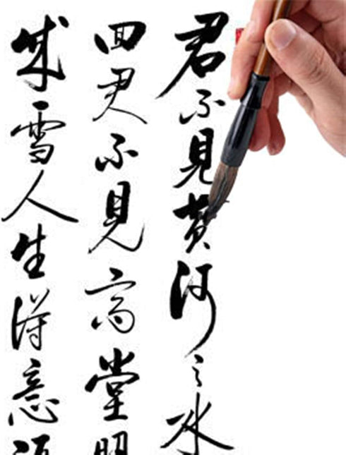 Chinese Calligraphy Brush, Writing Drawing Watercolor Ink Brushes Hubi Painting?Kanji Sumi?Wolf Bamboo Brushes Set for Professional Beginner (Gree...