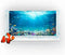36X24IN Aquarium Background Under The Sea Coral Reef Scenery Backdrop Terrarium Background Underwater Marine Organism Fish Tank Background with 10...