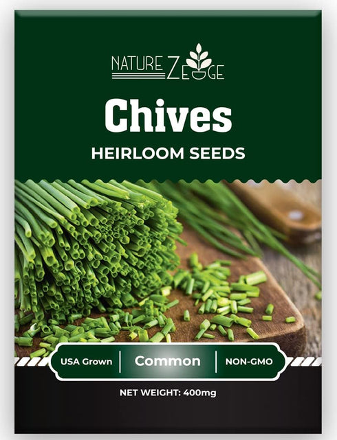 5 Herb Seeds Variety Kit, Oregano, Cilantro, Parsley, Basil, Chives...