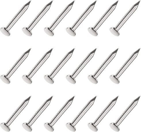 Small Nails (1.2x10mm) 500pcs, Carbon Steel Tiny Hardware Nails - for Household Woodworking, Silver Tone...