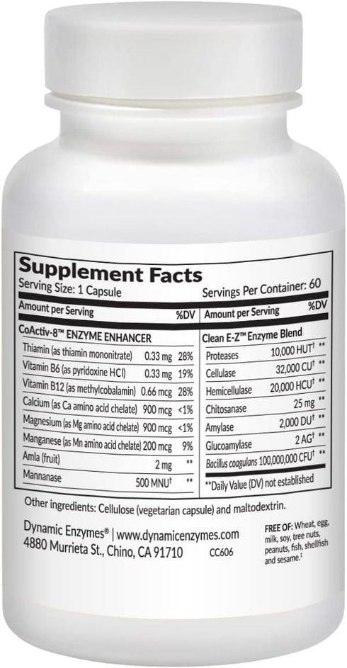 Clean E-Z Candida - Microflora Gut Balance, Candida Cleanse, Digestion of Yeast Cell Walls, Probiotics & Digestive Enzymes, Gut Flora Health | 60 ...