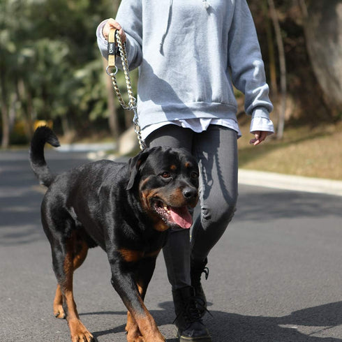 TSPRO Chew Proof Dog Leash 3.6 FT Stainless Steel Dog Leash Metal Training Dog Leash with Soft Handle for Medium Large Dog (3MM, Khaki)...