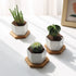 T4U Small White Succulent Planter Pots with Bamboo Tray Hexagon Set of 2, Geometric Ceramic Cactus Plant Holder, Succulent Plant Gifts for Gardene...