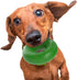 Goughnuts - Rubber Dog Chew Toy Med .75, Green, Ring...