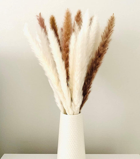 30 Pcs White Pampas Grass ,17 inch/45 cm Natural Dried Pampas Grass Branches Decor for Home Kitchen Garden Party Photographing Flower Arrangement ...