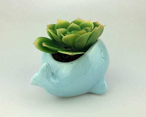 VanEnjoy 5" Ceramic Succulent Pot, Cute Ocean Blue Seashell Series, Conch Shaped Cactus Pot Planter, Flower Pot, Pottery Bonsai Pot (Whale)...
