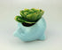VanEnjoy 5" Ceramic Succulent Pot, Cute Ocean Blue Seashell Series, Conch Shaped Cactus Pot Planter, Flower Pot, Pottery Bonsai Pot (Whale)...