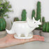 Adorable Ceramic Dinosaur Succulent Planter with Drainage for Home Decor,Animal Plant Pot, White Ceramic Triceratop Cactus/Flower Container (Trice...