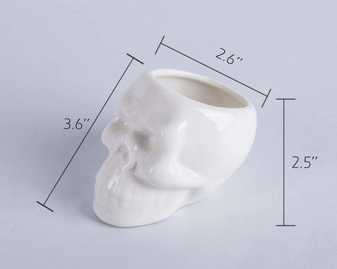 VanEnjoy Set of 3 Ceramic Skull succulent Pots and Planters Creative Cactus Plant Pot Pen Pencil Holder, Home Office Bedroom desk Decoration...