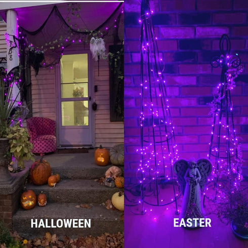 33 Feet Wire Led Fairy String Lights Halloween Christmas Gift for Mother Grandma Daughter 100 LED Micro Mini Twinkle Starry Lights for Tree Bedroo...