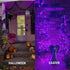 33 Feet Wire Led Fairy String Lights Halloween Christmas Gift for Mother Grandma Daughter 100 LED Micro Mini Twinkle Starry Lights for Tree Bedroo...