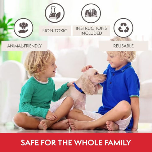 PATTLER® | 2 Humane Mouse Trap for Indoor and Outdoor Home | Mechanical Reusable Live Mouse Traps Catch and Release Mice from Garden, Garage, Atti...