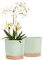kubvici Indoor Plant Pots Set of 2 Planters 8 inch Plastic Planter with Hole & Saucer Modern Decorative for Outdoor Garden Home (Green, 8 inch)...