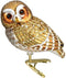 Old World Christmas Clip-on Pygmy Owl Bird Blown Glass Ornament 18067 Free Box...