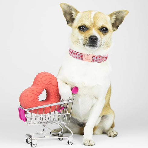 Valentine's Day Dog Collar for Medium Dog,White Red Pink Love Male Dog Collar with Safety Metal Buckle Adjustable Puppy Collars for Small Large Bo...