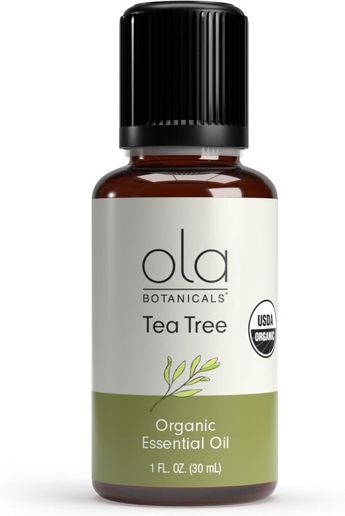 Ola Botanicals Organic Tea Tree Essential Oil (1 Fl. Oz.), Cleansing and Refreshing, Certified USDA Organic, Dr. Mercola...