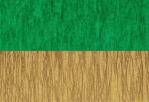 Green and Dark Metallic Gold Crepe Paper Streamers (2 Rolls Each Color) MADE IN USA!...