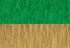 Green and Dark Metallic Gold Crepe Paper Streamers (2 Rolls Each Color) MADE IN USA!...