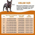 Dog Chain Collars, Diamond Necklace Metal Choke Cuban Link Dog Collar, 13mm Wide Pet Jewelry for Puppy Small Medium Large Dogs Cats Gold (10inch)...