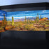 Reptile Habitat Background Rock Blue Sky Oasis Cactus Desert Terrarium Background with 10 Eva Double Sided Tape 36X18IN with 8 EVA Double-Sided Ta...